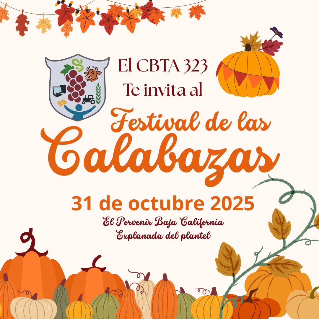 Festival_Calabaza 2025