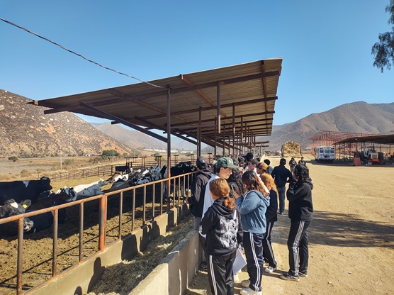 Visita rancho Sandoval